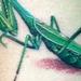 Tattoos - PRAYING MANTIS - 59648